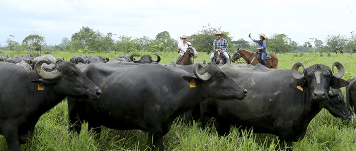 Hacienda la Victoria