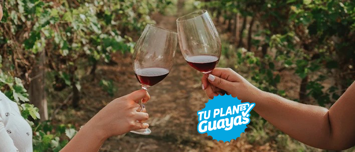 Half Day en Viñedo Dos Hemisferios - Playas