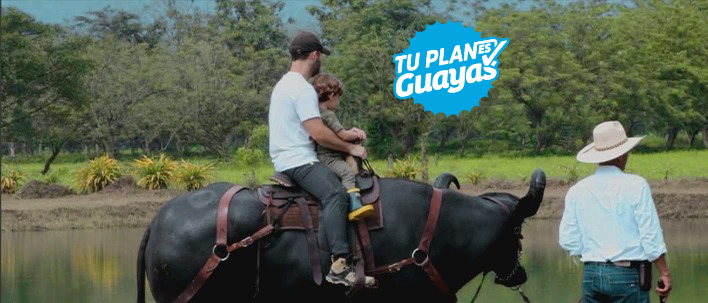 Buffalo Experience – Bucay